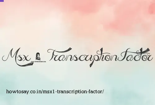 Msx1 Transcription Factor