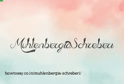 Muhlenbergia Schreberi