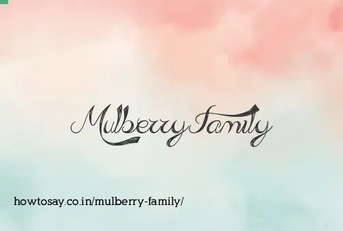 Mulberry Family