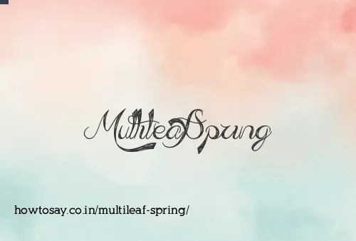 Multileaf Spring