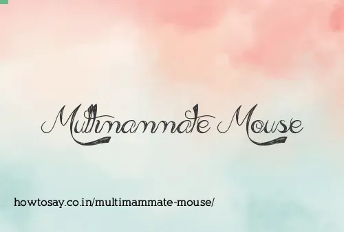 Multimammate Mouse