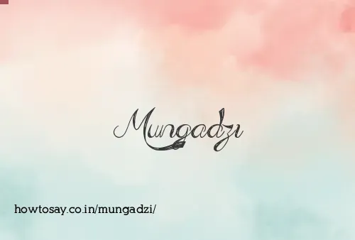 Mungadzi