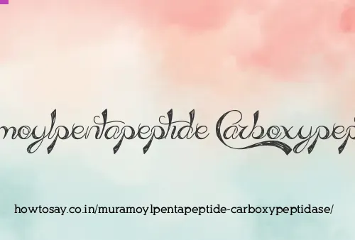 Muramoylpentapeptide Carboxypeptidase