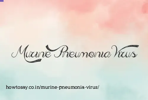 Murine Pneumonia Virus