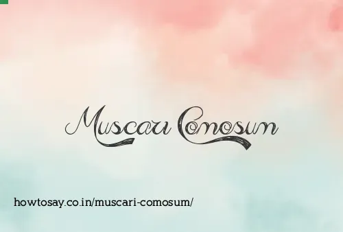 Muscari Comosum