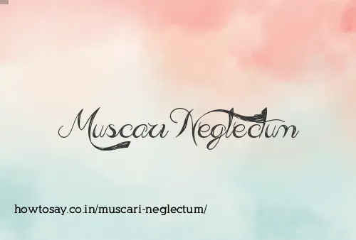 Muscari Neglectum