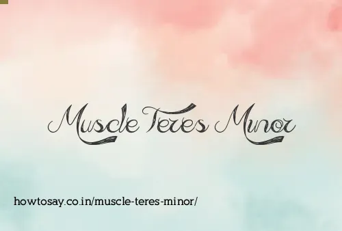 Muscle Teres Minor