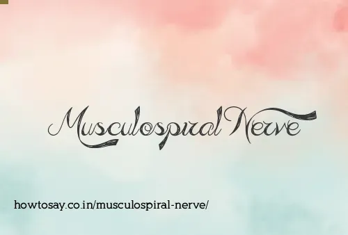 Musculospiral Nerve