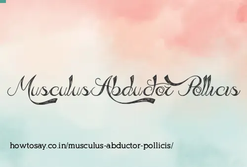 Musculus Abductor Pollicis