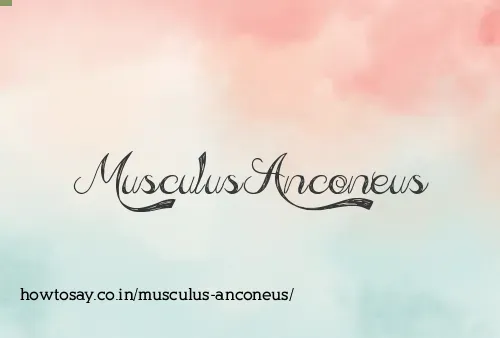 Musculus Anconeus