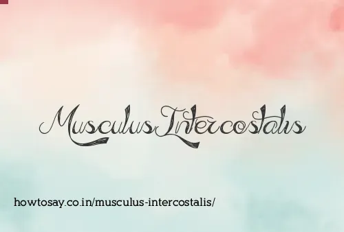 Musculus Intercostalis