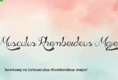 Musculus Rhomboideus Major