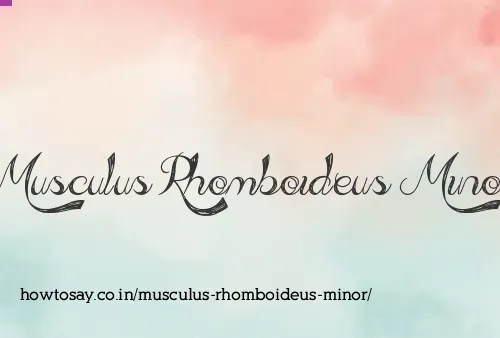 Musculus Rhomboideus Minor