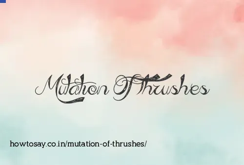 Mutation Of Thrushes