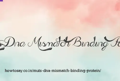 Muts Dna Mismatch Binding Protein