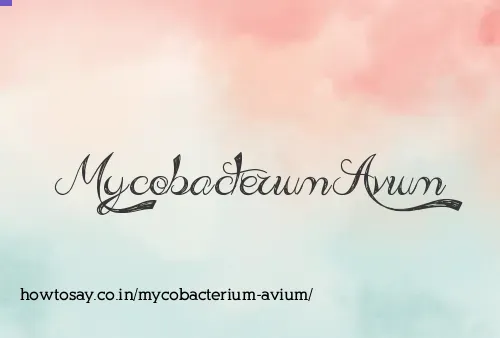Mycobacterium Avium