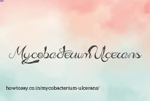 Mycobacterium Ulcerans