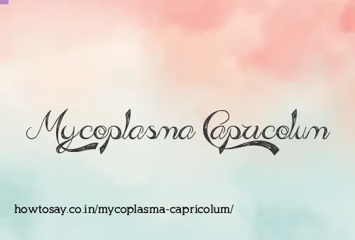 Mycoplasma Capricolum