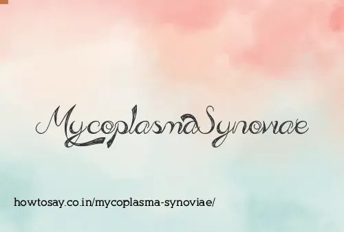 Mycoplasma Synoviae
