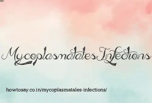 Mycoplasmatales Infections