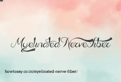 Myelinated Nerve Fiber