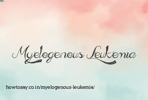 Myelogenous Leukemia