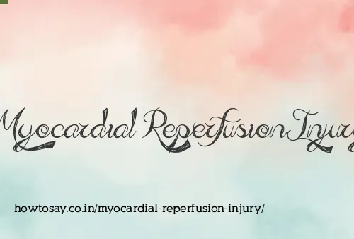 Myocardial Reperfusion Injury