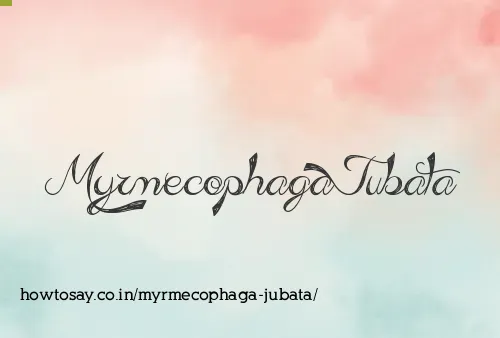 Myrmecophaga Jubata
