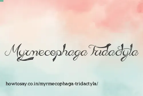 Myrmecophaga Tridactyla