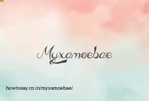 Myxamoebae