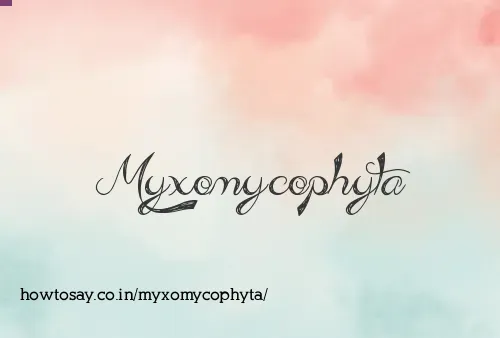Myxomycophyta