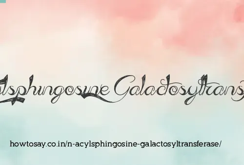 N Acylsphingosine Galactosyltransferase