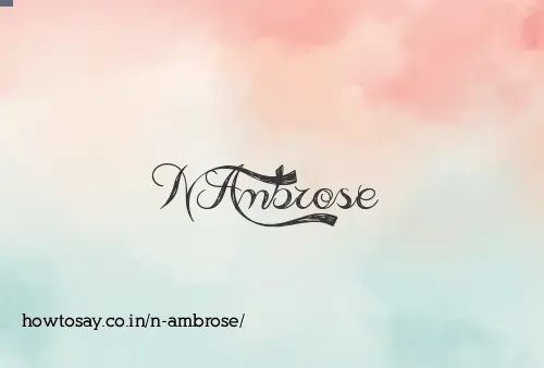 N Ambrose