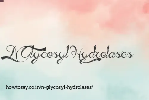 N Glycosyl Hydrolases