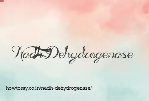 Nadh Dehydrogenase