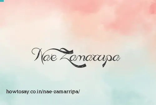 Nae Zamarripa