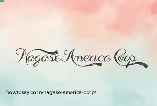 Nagase America Corp