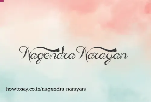 Nagendra Narayan