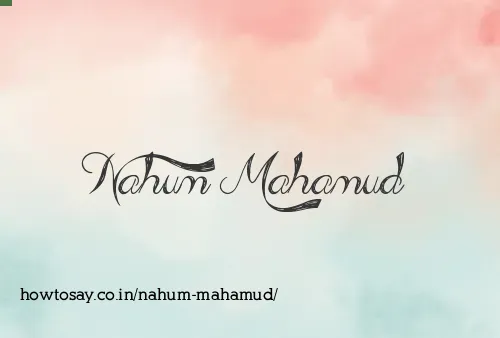 Nahum Mahamud