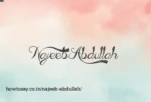 Najeeb Abdullah