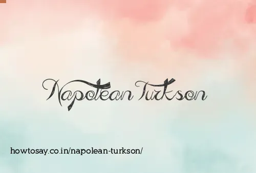 Napolean Turkson