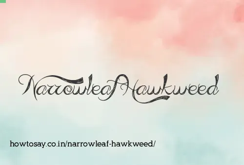 Narrowleaf Hawkweed