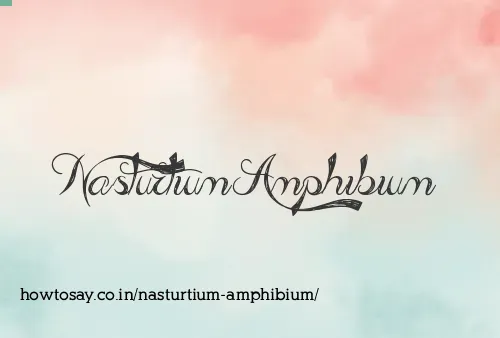 Nasturtium Amphibium