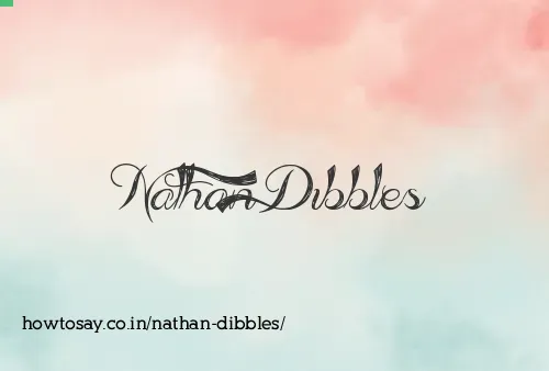 Nathan Dibbles