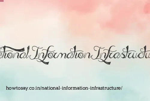 National Information Infrastructure