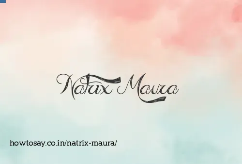 Natrix Maura