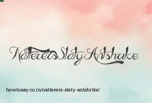 Natterers Slaty Antshrike