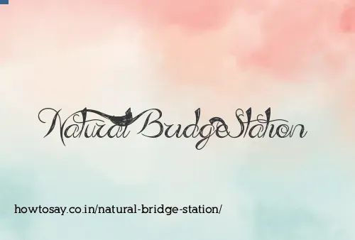Natural Bridge Station
