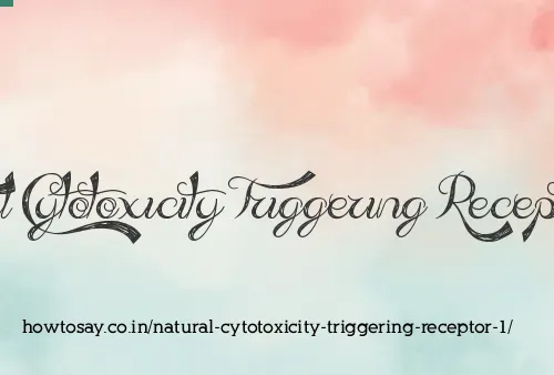 Natural Cytotoxicity Triggering Receptor 1