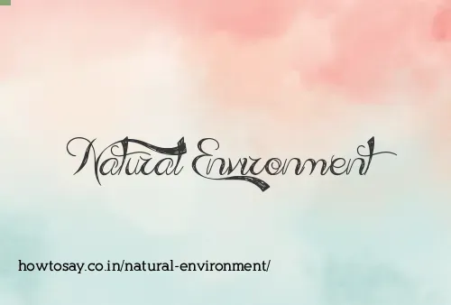 Natural Environment